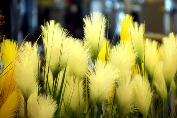 Yellow flowers from bird feathers — Stock Photo, Image