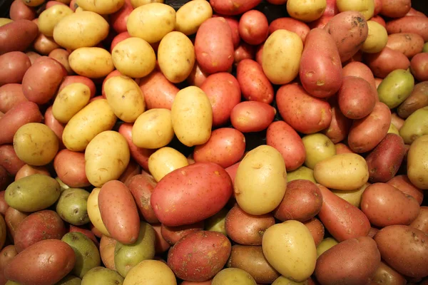 Красный и желтый большой картофель продается на рынке — стоковое фото