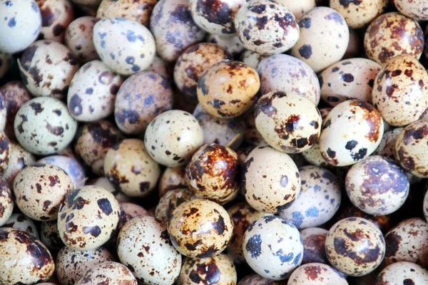 Huevos frescos de codorniz en un mercado — Foto de Stock