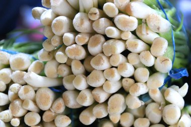 Bir demet taze taze soğan..