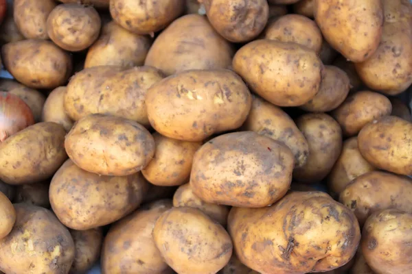 Продаются свежие клубни картофеля — стоковое фото