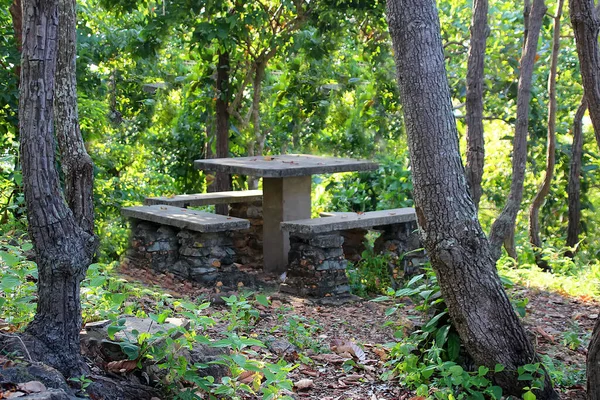 3 Concrete benches and a table in the jungle Royalty Free Stock Photos