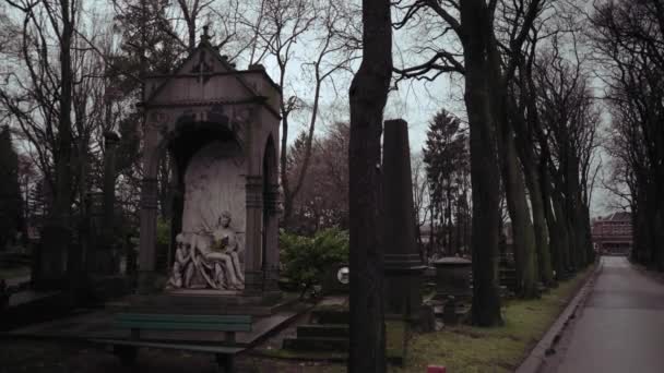 Liege Belçika 11082018 Liege Belçika Bir Mezarlıkta Heykel — Stok video