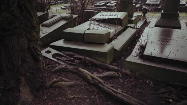 Liege Belgium 11082018 Tombstones Deserted Cemetary Belgium — Stock Video