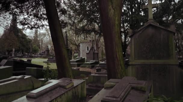 Luik België 11082018 Verlaten Begraafplaats Luik België — Stockvideo