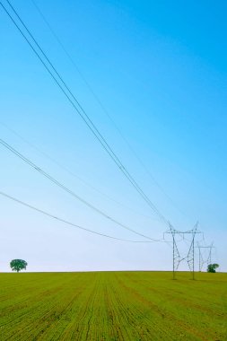 Iki ağaç iki elektrik kuleleri ile güzel manzara
