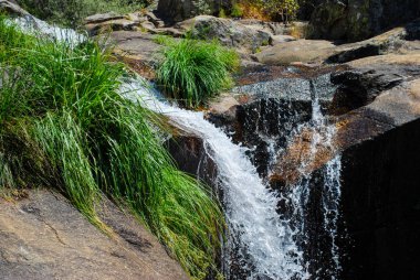 Ormanda güzel bir şelale