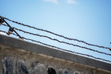 mavi gökyüzü nün arka planında dikenli tel