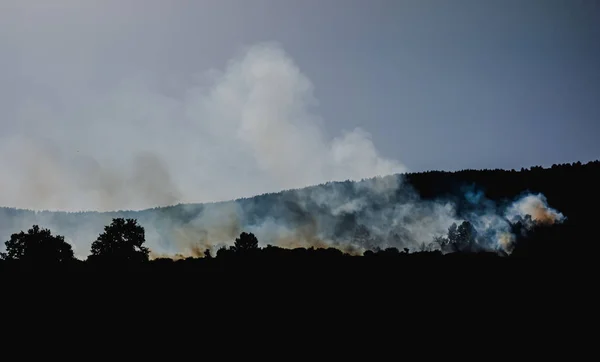 森林火災の美しいシルエット — ストック写真