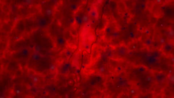 Putain de fluide. Fond de lave rouge avec bruit fractal avec des particules en suspension et un courant de fluide rouge sous forme de rivière, avec des particules rouges déformées. Vidéo 4K 