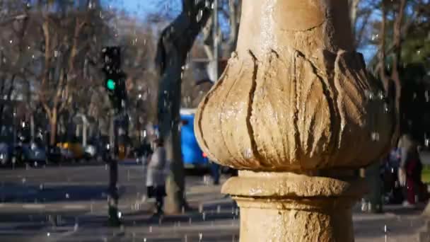 Beautiful Shoot Fountain People Crosswalk — Stock Video