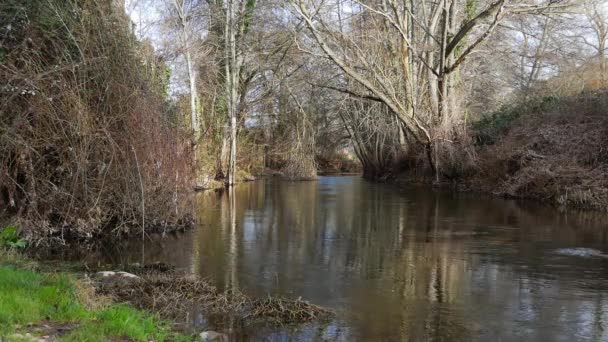 Beau paysage d'une rivière, des arbres et du soleil sur le coucher du soleil. avec des réflexes dans l'eau 