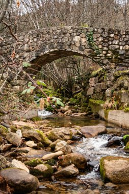 Arka planda nehir ve ağaçlar üzerinde Ortaçağ taş köprü