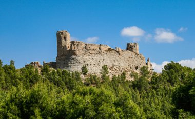 Calatayud Castle surrounded by veteran and with a beautiful blue sky with clouds clipart