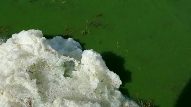 Líquido Contaminante Verde Blanco Con Burbujas Espuma — Vídeo de stock