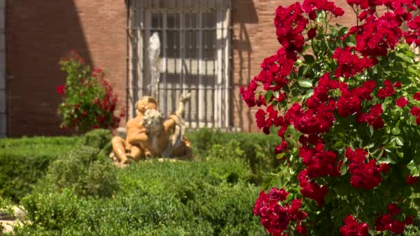 Tres Tiros Fuentes Fuente Desenfocada Fondo Con Hermoso Rosal Dos — Vídeo de stock