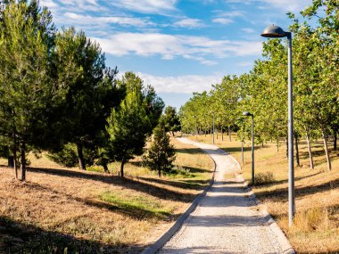 Ağaçlar ve sokak lambalarıyla çevrili bir parkta çakıl yolu
