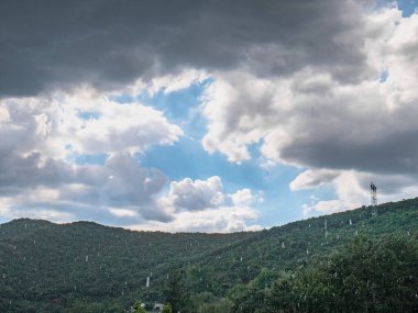 Yağmurlu bir günde, yağmur damlalarının ormana düşmesi gibi bir fırtına sırasında bulutların arasından bir açıklık kırılır.
