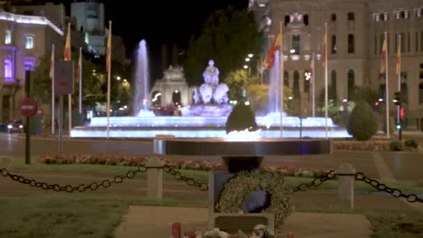 Madrid Spanya 2020 Covid Kurbanlarının Anısına Yapılan Plaza Cibeles Spanya — Stok video