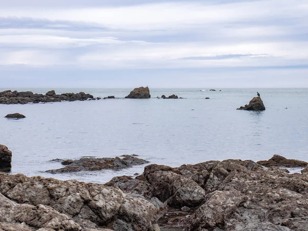 Kormorán Odpočívá Suší Peří Pozůstatcích Puerto Soledad Laredo Kantábrii Opuštěných — Stock fotografie