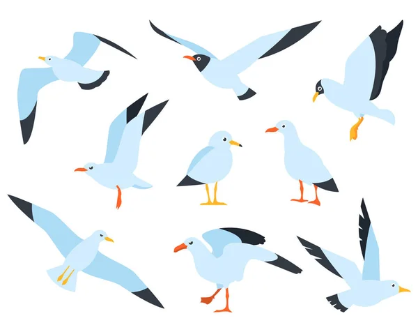 Volar Agua Las Gaviotas Pie Conjunto Dibujos Animados Sea Gull — Vector de stock