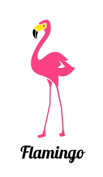 Rosa Flamingo Vit Bakgrund Rosa Flamingo Logo Typ Mall Fågel — Stock vektor