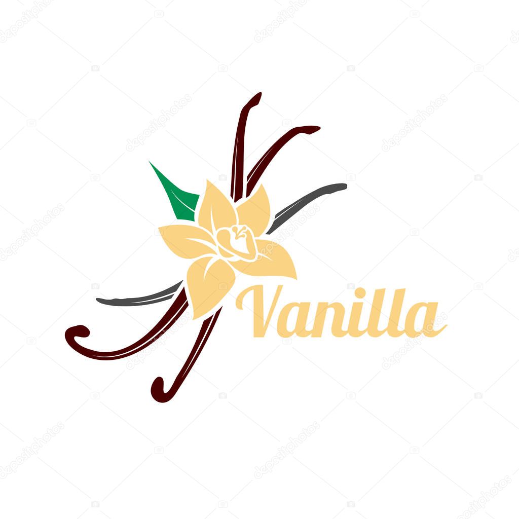 Vanilla flower and pods. Vector icon silhouette isolated on white background. Aromatic spice organic logo illustration.