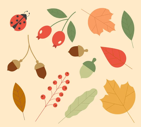 Symbole Des Herbstes Farbenfrohe Blätter Und Beeren Isoliert Auf Weißem — Stockvektor