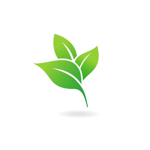 Плоские листья икон. Иллюстрация вектора зеленого листа
.