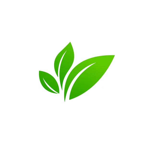 Projeto Paisagem Jardim Planta Natureza Ecologia Logotipo Vetor Ecologia Vida —  Vetores de Stock