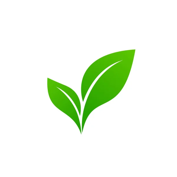 Peyzaj Tasarımı Bahçe Bitki Doğa Ekoloji Vektör Logosu Ekoloji Mutlu — Stok Vektör