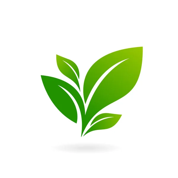 Ландшафтний Дизайн Сад Рослина Природа Екологія Векторний Логотип Екологія Щасливе — стоковий вектор