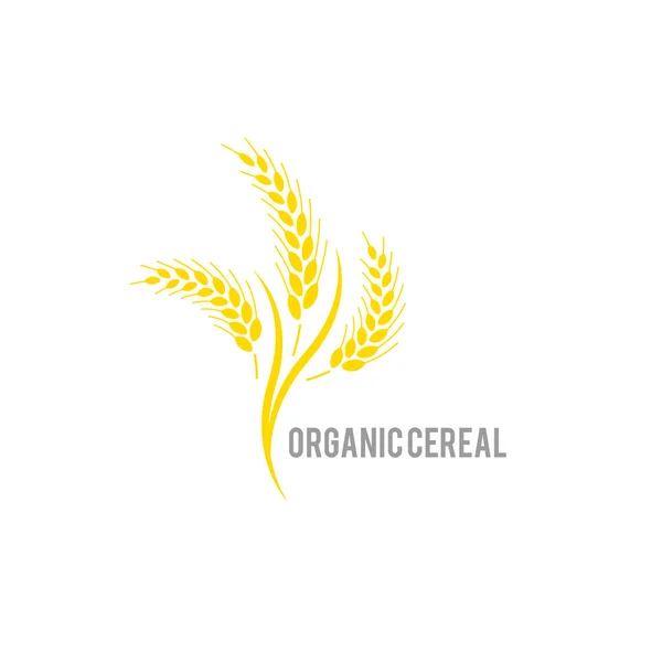 Orgánica Semillas Agricultura Plantas Alimentos Comer Natural Concepto Para Etiqueta — Archivo Imágenes Vectoriales