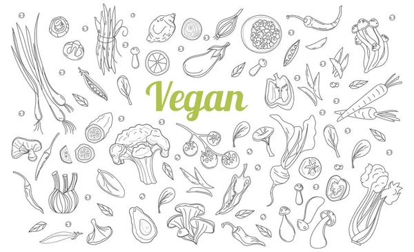 Estilo de boceto. Dibujado a mano conjunto de ingredientes alimenticios saludables garabatos en el vector. Dieta saludable comida vegana, fuentes de proteínas vegetales . — Vector de stock