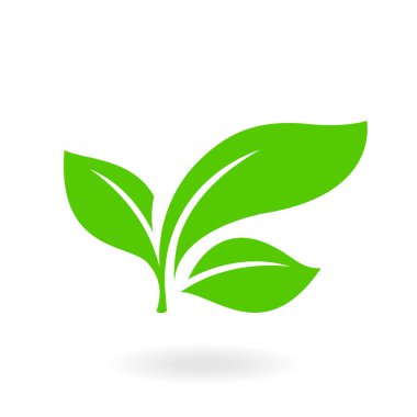 Düz yaprak simgeleri. Soyut yeşil yaprak logosu.