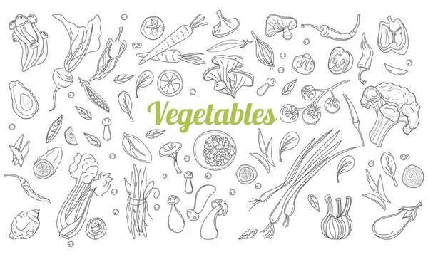 Gráfico lineal. Fondo de verduras. Estilo escandinavo. Comida saludable. Ilustración vectorial. Conjunto de garabatos de frutas y verduras extraídas a mano . — Vector de stock