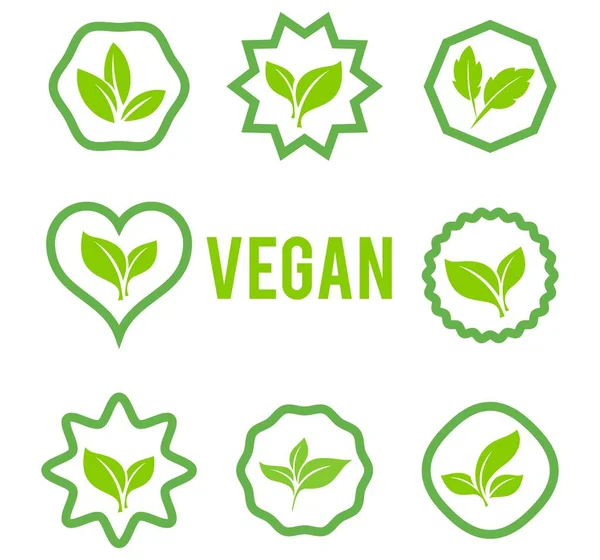 Deja conjunto de vectores de iconos aislados sobre fondo blanco. Varias formas de hojas verdes de árboles y plantas . — Vector de stock