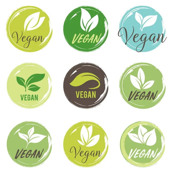 Conjunto de iconos veganos. Bio, Ecología, Logos e insignias orgánicas, etiqueta, etiqueta. Hoja verde sobre fondo blanco . — Vector de stock