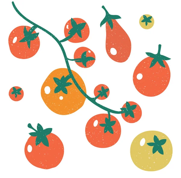 Conjunto de tomates rojos. Una rama de tomates. Establecer con garabatos coloridos dibujados a mano . — Vector de stock