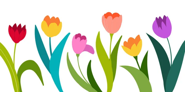 Tulipes vectorielles de couleur isolées sur fond blanc. Fleurs dans différentes formes pour votre conception et salutations, carte postale pour vos proches . — Image vectorielle