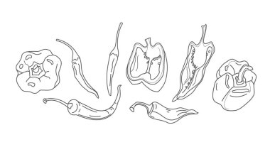 Soğuk biber. Etiket, poster, beyaz arka plan üzerinde izole baskı için harika.
