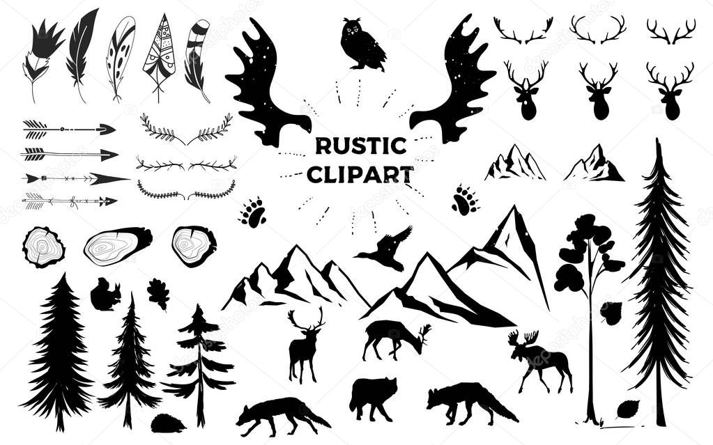 Hand drawn vintage antlers, feathers, arrows. decorative vector design set. Rustic animal. Hipster logo design element. vector tree rings.