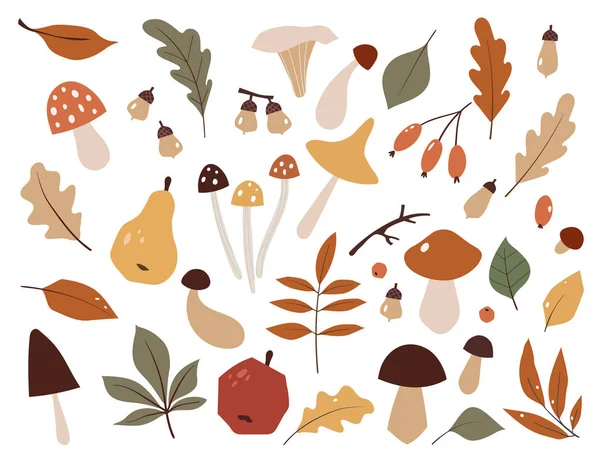 Conjunto de outono, elementos desenhados à mão. Folhas botânicas, flores, bagas, cogumelos, árvores. Outono de Setembro. Festa de Outubro. Venda de novembro . — Vetor de Stock