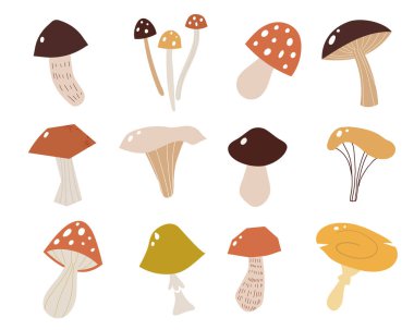 Düz bir tarzda mantar seti. Farklı mantar türlerinin vektör illüstrasyonu.