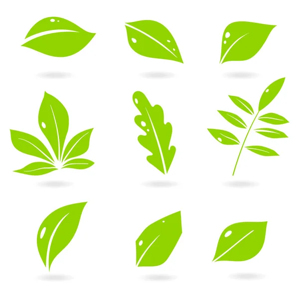 Läßt den Icon-Vektor auf weißem Hintergrund isoliert stehen. verschiedene Formen der grünen Blätter von Bäumen und Pflanzen. Elemente für Öko- und Bio-Logos. Set aus abstrakten tropischen Blättern. — Stockvektor