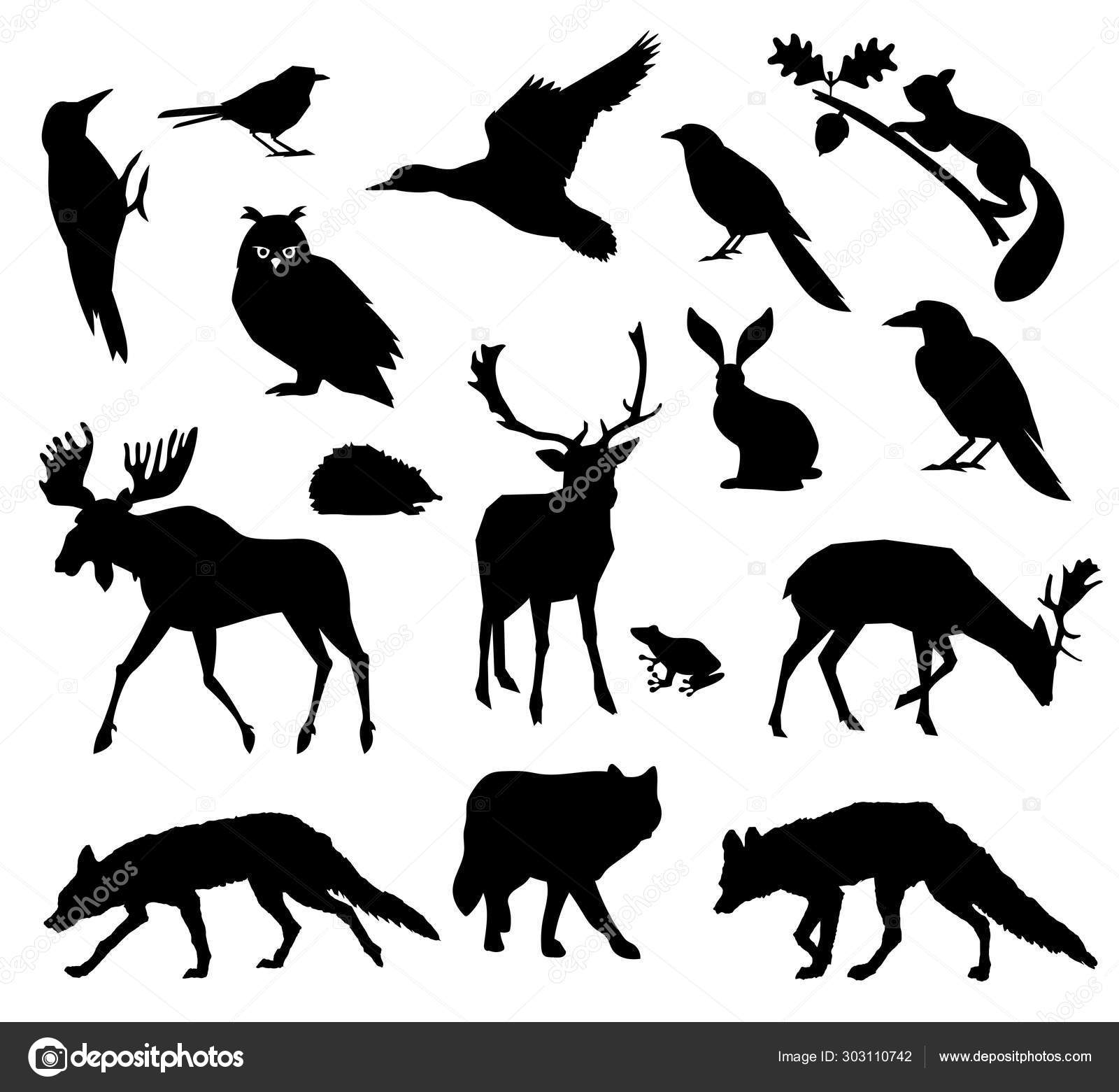 Woodland forest. Animals living in european forest. Vector icon set of  silhouette. National park. Stock Vector Image by ©nadia1992 #303110742