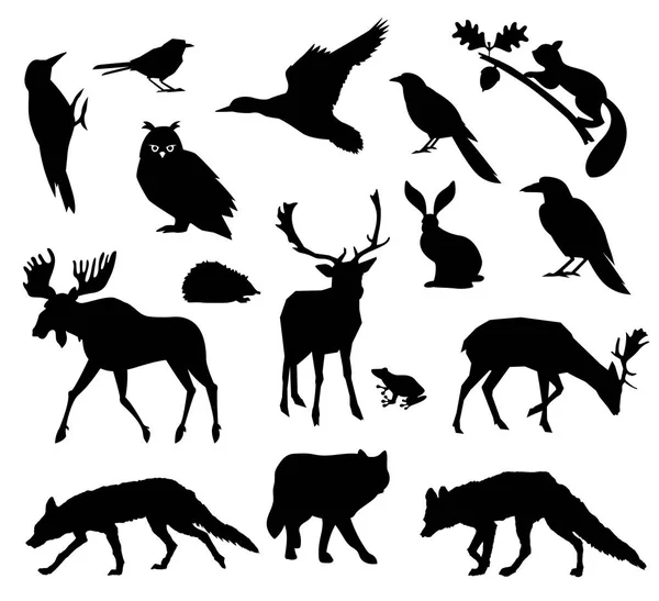 Forêt boisée. Animaux vivant dans la forêt européenne. Ensemble d'icônes vectorielles de silhouette. Parc national . — Image vectorielle