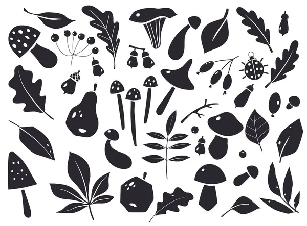 Set van herfst silhouetten van bladeren en bessen. Grafische elementen voor ontwerpen. — Stockvector