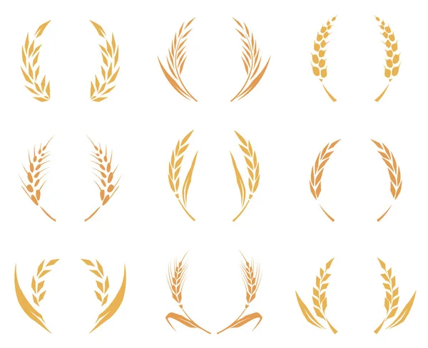 Wheat or barley ears. Harvest wheat grain, growth rice stalk and whole bread grains or field cereal nutritious rye grained agriculture products ear symbol. Isolated vector icons set. Baked wheat logo. — Stock Vector