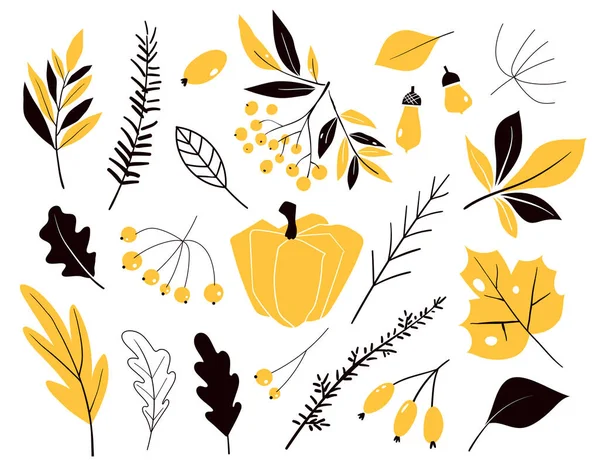 Set van herfst bladeren in cartoon stijl. Vector met doodle Leafs. Herfst collectie. Bloem grafisch ontwerp. Hand getekende vector plantkunde. Moderne Fall seizoensgebonden decor. — Stockvector